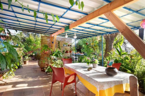 Casa La Panacea, La Breña